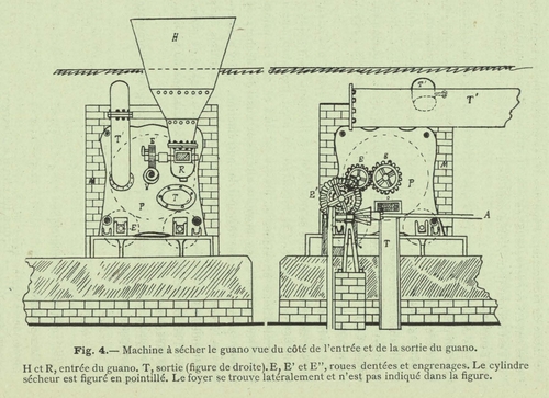 Henseval (1903, fig. 4)