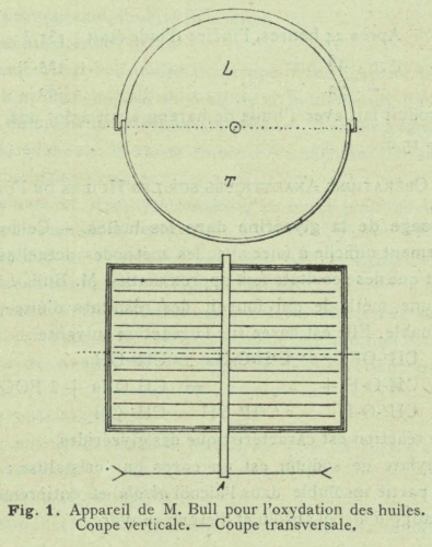 Henseval (1903, fig. 1)