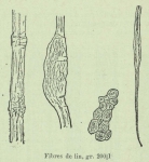 Huwart, J. (1905). Le tannage des filets de pêche Trav. Stat. Rech. Relat. Pêche Marit. Ostende 2: 3-33