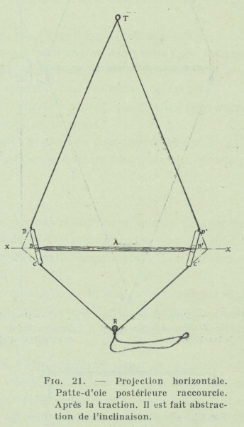 Gilson (1911, fig. 21)