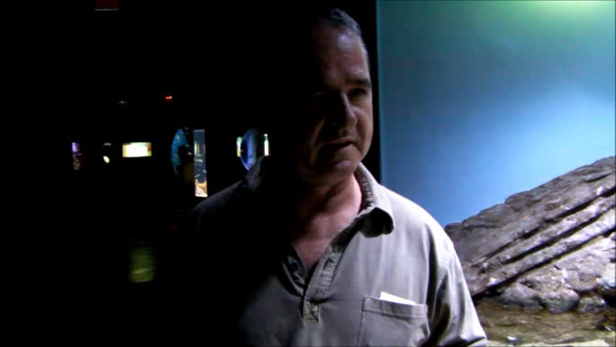 Testimonies from EU citizens