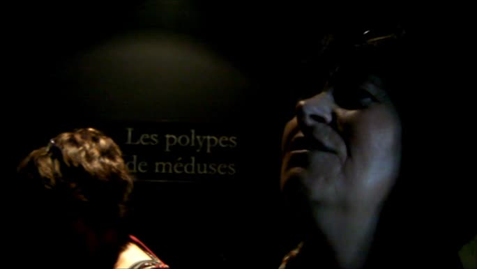Video gallery