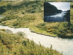 The rapids at the entrance to Lough Hyne provide a unique habitat.