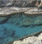 View of a common rocky habitat in the Tuscany Archipelago