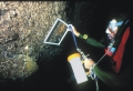 Hexactinellida