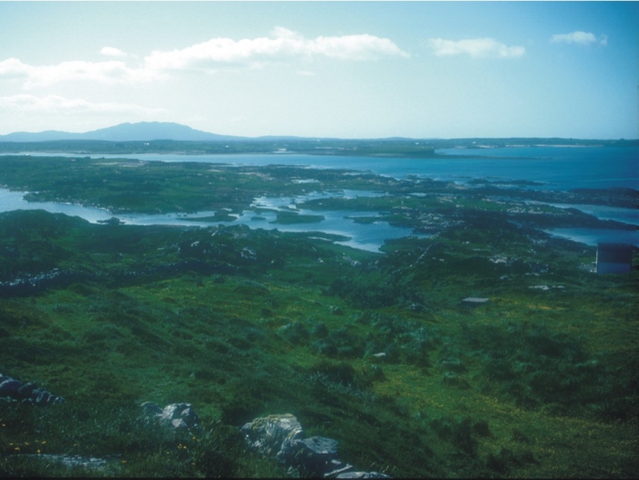 The entrance to Kilkieran Bay with numerous small islands and islets create a mosaic of marine habitats