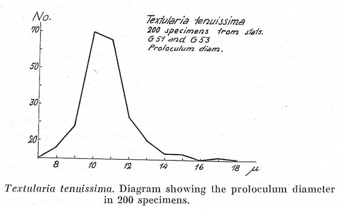 Textularia tenuissima Textularia tenuissima