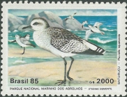 Pluvialis squatarola