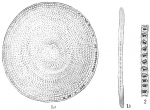Orbitolites marginalis