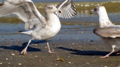 20111001_kruiexcursie_DePanne