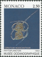 Ceratium hexacanthum