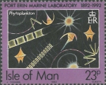 Phytoplankton sample