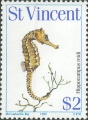 Syngnathiformes