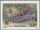 Alpheus bellulus, author: Collection VLIZ