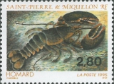 Homarus, author: Collection VLIZ