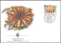 Acanthaster planci