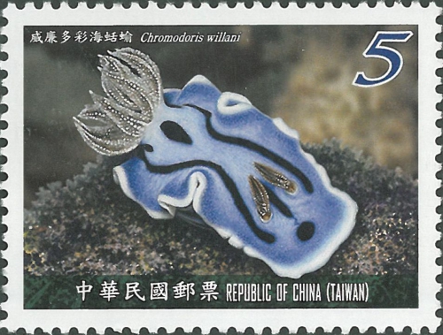 Chromodoris willani Chromodoris willani