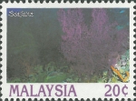 Alcyonacea sp.