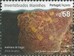 Anthozoa