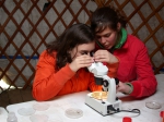 Editie 2005
