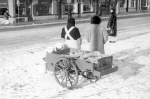 Vistrap Oostende