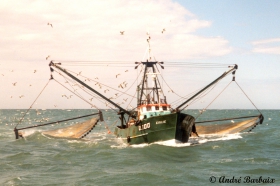 O.100 Emilie (bouwjaar 1964)