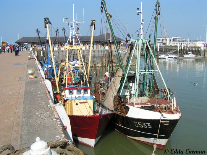 O.533 Virtus (bouwjaar 1965)