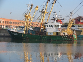 Z.575 Hein Senior (bouwjaar 2000)