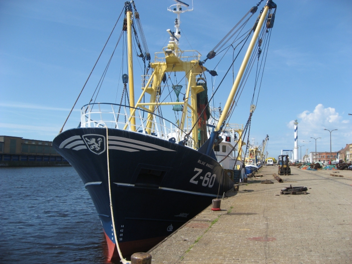 Z.60 Blue Angel (bouwjaar 2001)