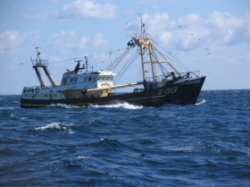 Z.98 Op Hoop van Zegen (bouwjaar 1991)