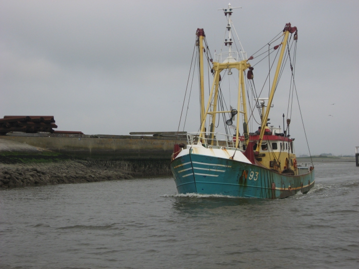 Z.93 Aalscholver (bouwjaar 1986)