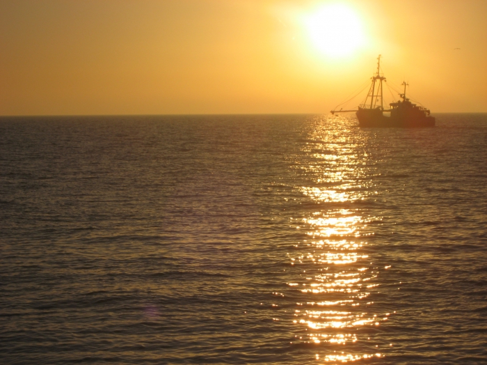 Coastal fishing vessel - Pêche cotière - Kustvissersboot