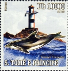 Tursiops truncatus