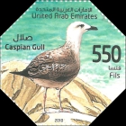 Larus cachinnans