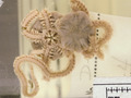 Ophiuroidea (brittle stars)