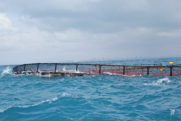 A cage used for aquaculture 