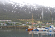 Haven