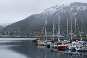 Haven