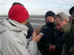 20061111_St.Andre Oostduinkerke