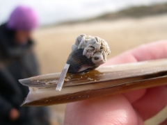 20061111_St.Andre Oostduinkerke