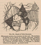 Renard, A. (1888). Report on the rock specimens collected on Oceanic Islands during the Voyage of H.M.S. Challenger, during the years 1873-1876. Report on the scientific results of the voyage of H.M.S. Challenger during the years 1