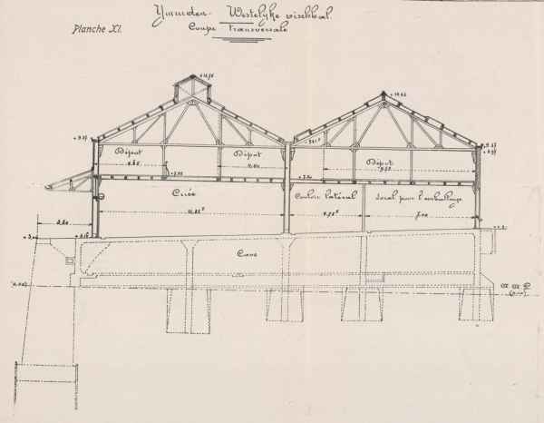 Verraert (1907, pl. 11)
