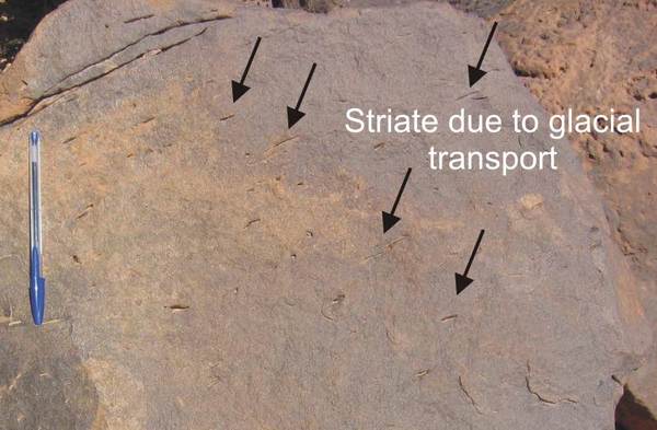 Day 3 station 2 striate