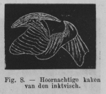 Eben (1884, figuur 8)