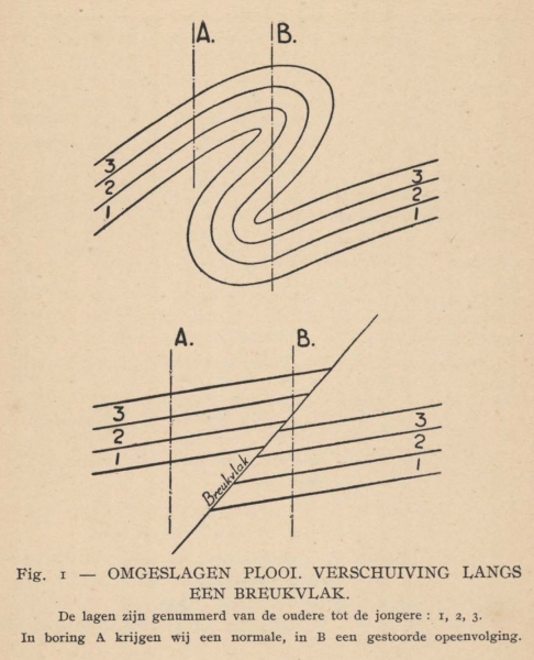De Langhe (1939, fig. 1)