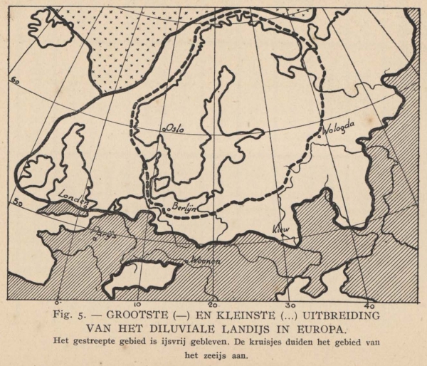 De Langhe (1939, fig. 5)