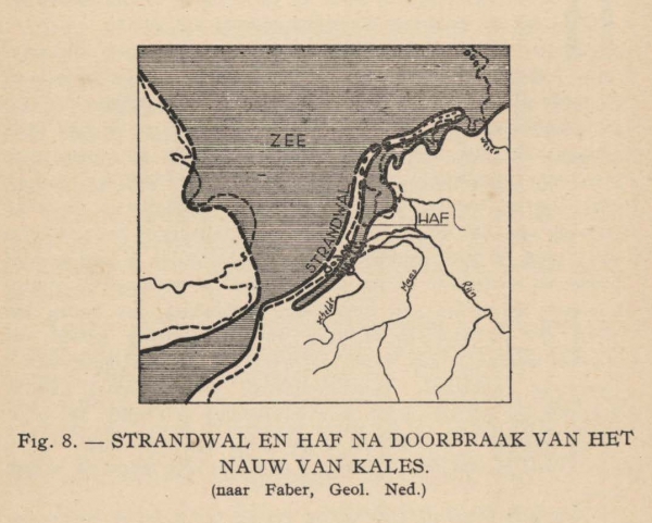 De Langhe (1939, fig. 8)