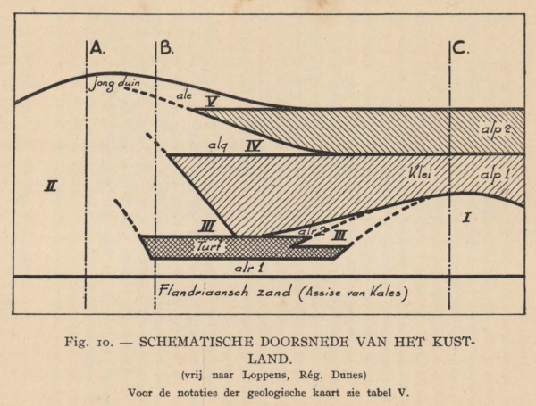 De Langhe (1939, fig. 10)