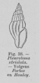 Eben (1884, figuur 38)