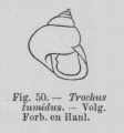 Eben (1884, figuur 50)